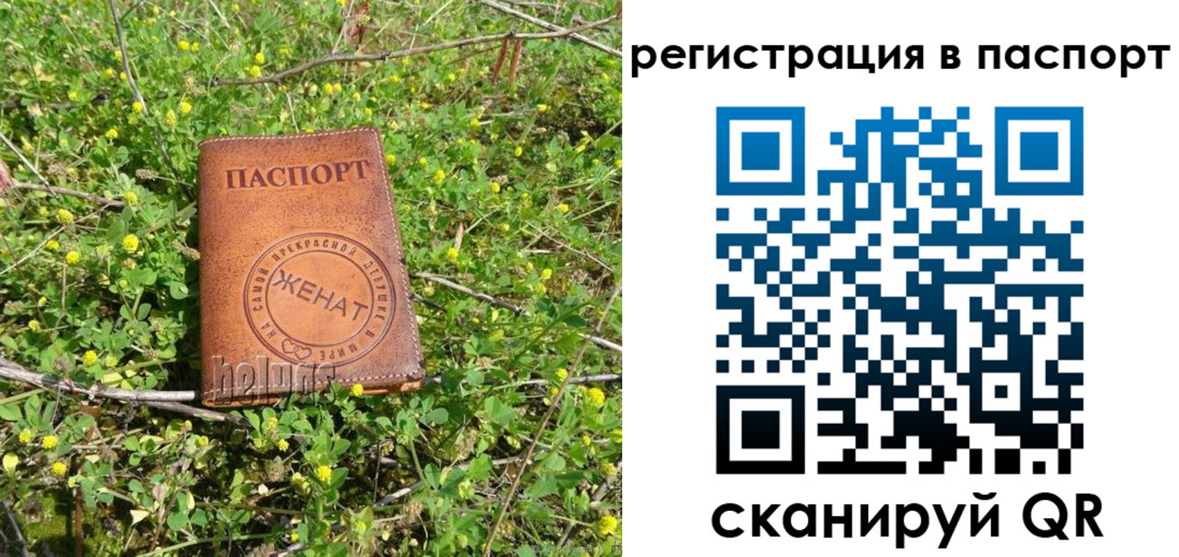 прописка законно в Гороховце